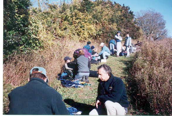 gaggle100.jpg