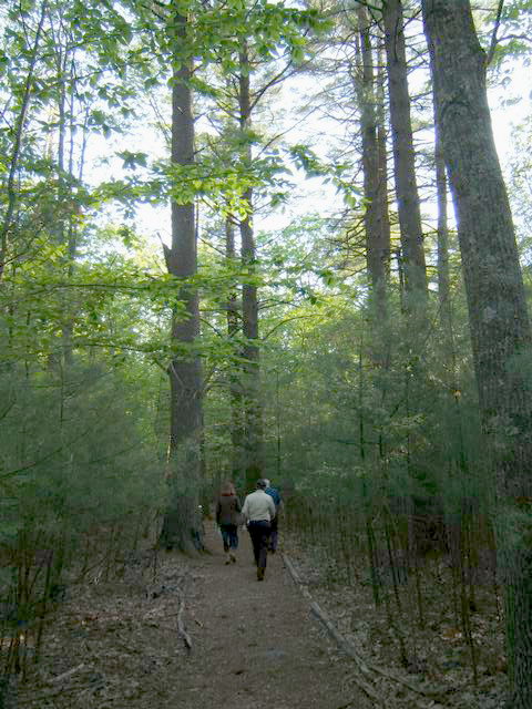 08_woody_path.jpg