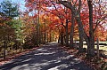 DSC01230.JPG