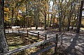 DSC01231.JPG