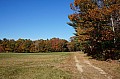 DSC01260.JPG