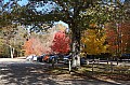 DSC01274.JPG