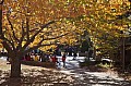 DSC01280.JPG