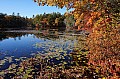 DSC01297.JPG