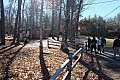 DSCF2228.JPG