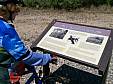 May1708_amc_15.jpg