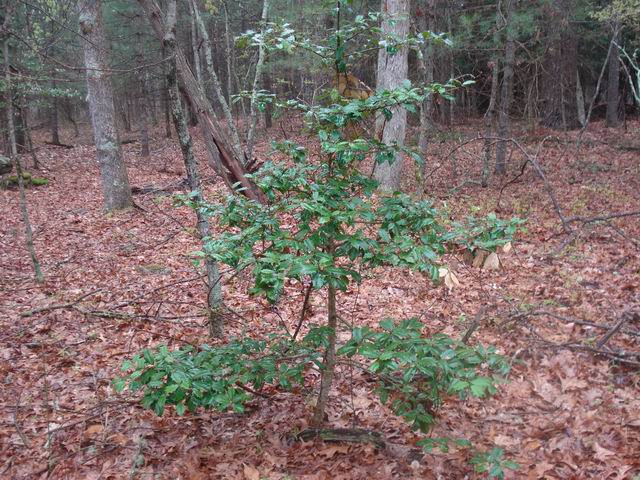 DSC03254.JPG