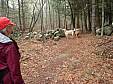 DSC03252.JPG