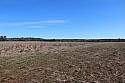 IMG_1678.JPG