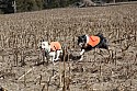 IMG_1686.JPG