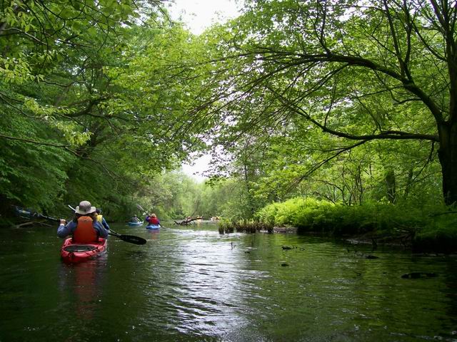 100_4255e.jpg