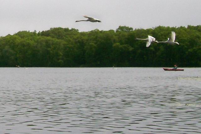 100_4351e.jpg