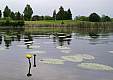 100_4197e.jpg