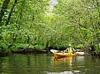100_4245e.jpg