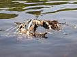 100_4318e.jpg