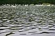 100_4346e.jpg