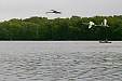 100_4351e.jpg