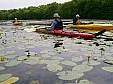 100_4369e.jpg