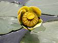100_4371e.jpg