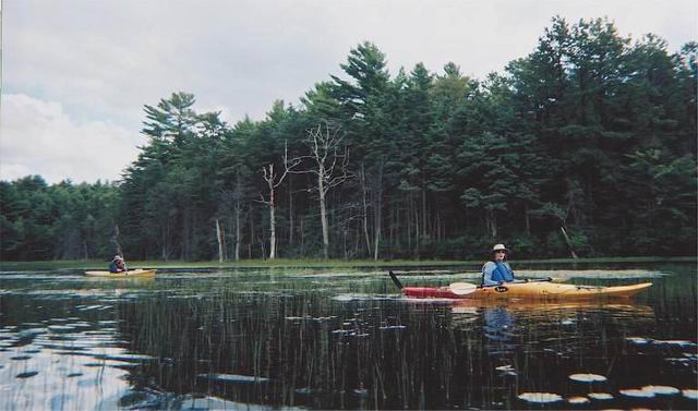 BR082606c.jpg