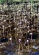100_3866e.jpg