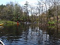 P5140083.JPG