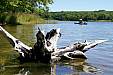 100_3398e.jpg