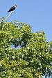 100_3415e1.jpg