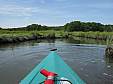 IMG_2139a.jpg