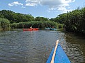 P8070171.JPG