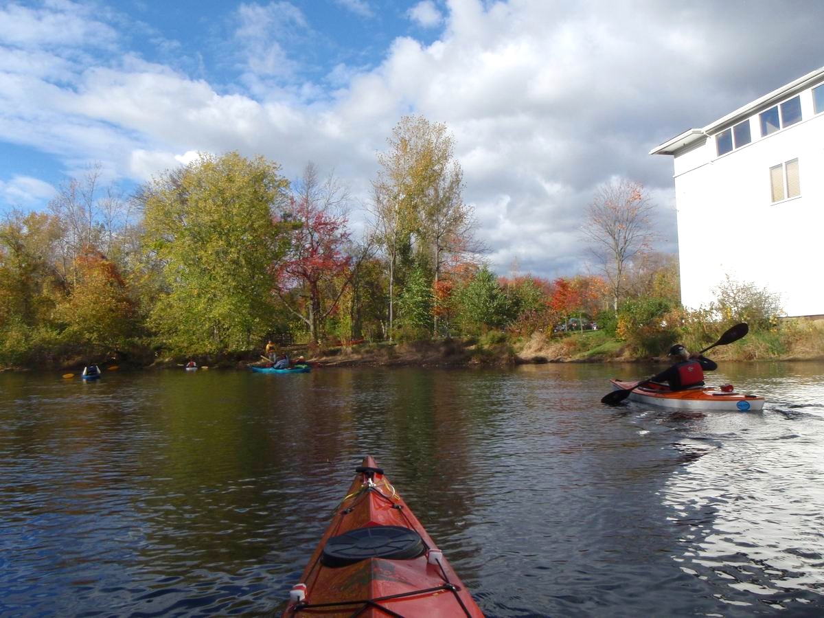 PA260279.JPG