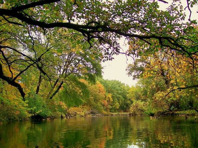 100_5151e1.jpg