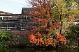 100_5035e6.jpg