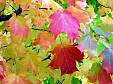 100_5195e.jpg