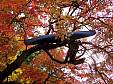 100_5236e.jpg