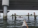 P7300146.JPG