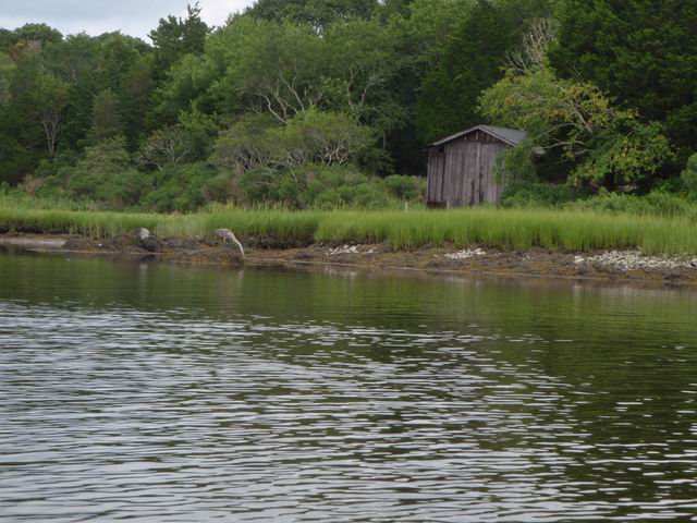 P8190383.JPG