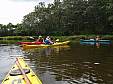 P8190341.JPG