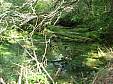 Arc+Pach_1_080208.JPG