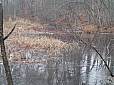 PC011787.JPG
