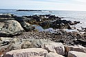 DSC01388.JPG
