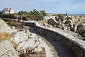 DSC01426.JPG