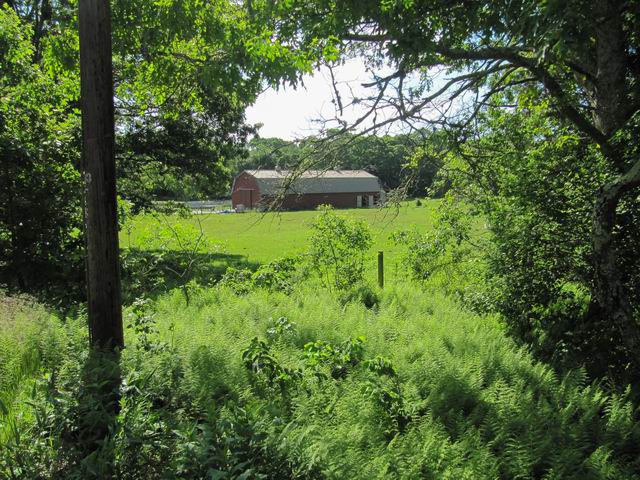 Duvaul hike-01.jpg