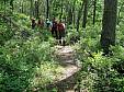 Duvaul hike-05.jpg
