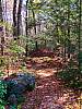 GWMA hike-12.jpg