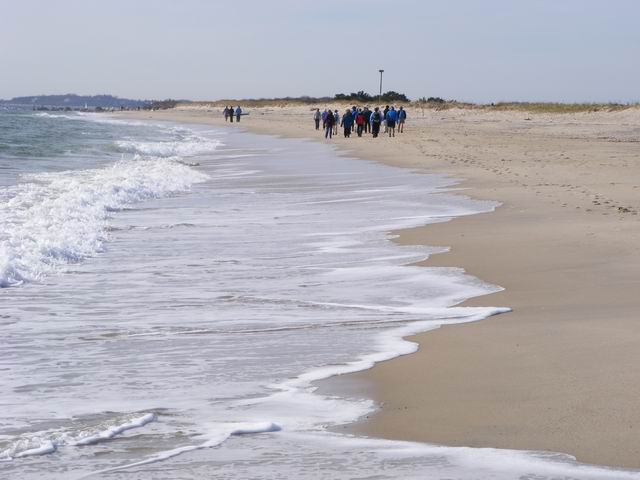 DSCF3985.JPG