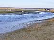 DSCF4016.JPG