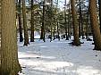 IMG_0586.JPG