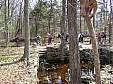 DSC00296.JPG