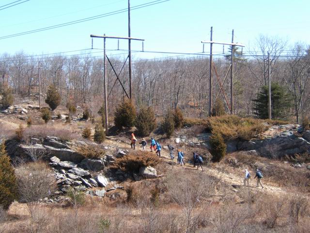 snakeden_033008_16.JPG